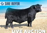 Lot 6: Raven Magnum J345 - 30 Units