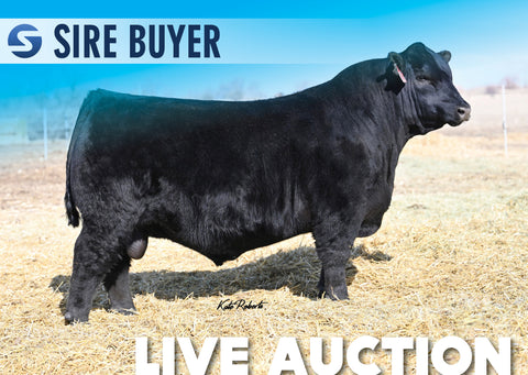 Lot 14: Raven Judge J75 - 30 Units