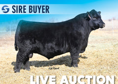 Lot 14: Raven Judge J75 - 30 Units