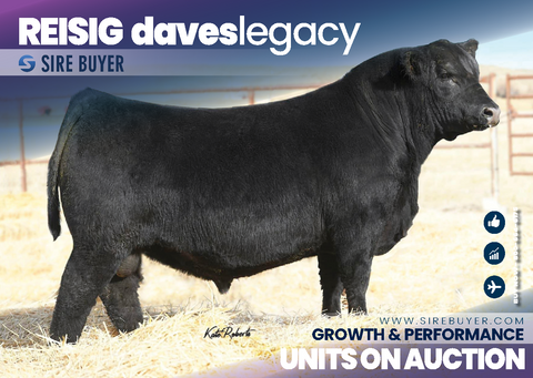 Reisig Dave's Legacy - 25 units