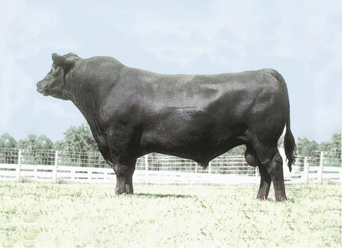 Leachman Right Time – 10 units