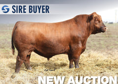 Lot 8: TJS Road Block D008 - 30 Units