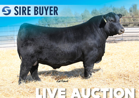 Lot 9: SAV Big Game 2549 - 30 Units