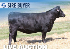 Lot 14: SAV Blackcap May 3626 - 2 Embryos