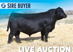 Lot 7: Sitz Profound 680G - 30 Units