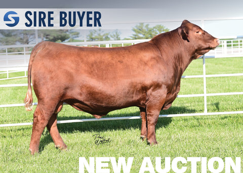 Lot 9: Dahlke Working Class - 30 Units