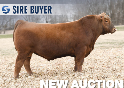 Lot 10: LEM Worldwide - 30 Units