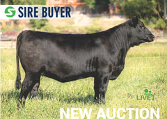 Lot 10: WMS Blackcap May 1010