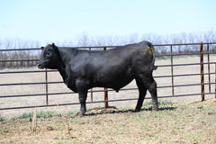 Lot 3: W3 Reno 6986 2016