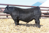 Lot #1 - BECK Countrywide 9201