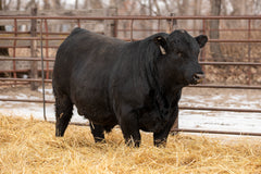 Lot 2: SAC Nance County 2017