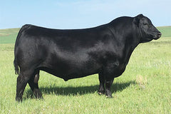 Lot 24: SAC Popular Vote 2840