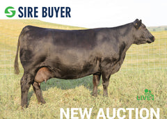 Lot 23: SAV Blackcap May 7306 (Embryos)