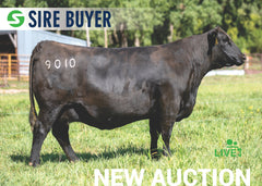 Lot 25: WMS Blackcap May 9010 (Embryos)