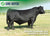 Lot #17 - Mohnen General 548 - 50 units