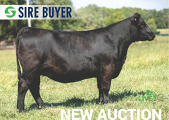 Lot 14: SAC Madame Pride 1803