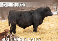 Lot 32: SAC Break the Bank 2112K