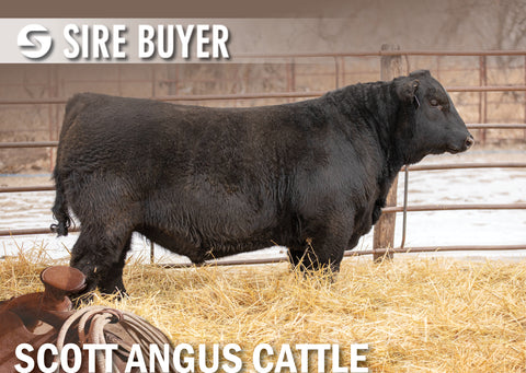 Lot 18: SAC Conquest 2845