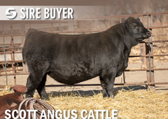 Lot 9: SAC Doc Reilly 2049