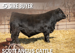 Lot 11: SAC Doc Reeder 2047