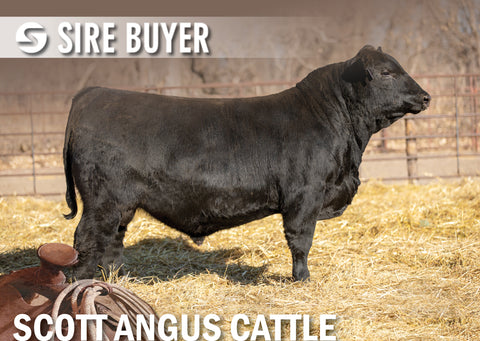 Lot 3: SAC Midwest 2016