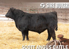 Lot 16: SAC Miner 2841