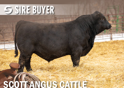 Lot 2: SAC Nance County 2017