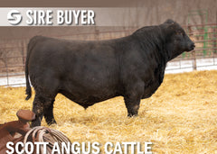 Lot 2: SAC Nance County 2017