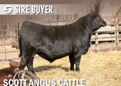 Lot 24: SAC Popular Vote 2840