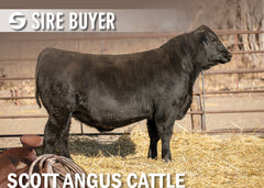 Lot 25: SAC Rifle 2864