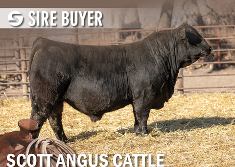 Lot 6: SAC Scale Bender 2847