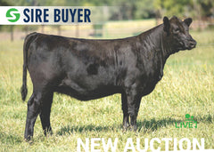 Lot 9: SAC Blackcap May 2303