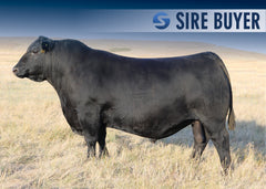 Lot 21: SAC Finish Line 2578