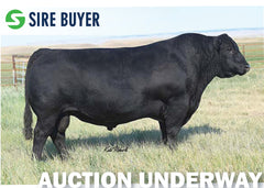 Lot 10: GAR 5050 New Design 2072 (Embryos)